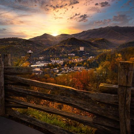 Tranquility Hollow, Indoor Pool, Game Room, 1089 Free Tickets Each Paid Day, Dollywood And More! 세비어빌 외부 사진