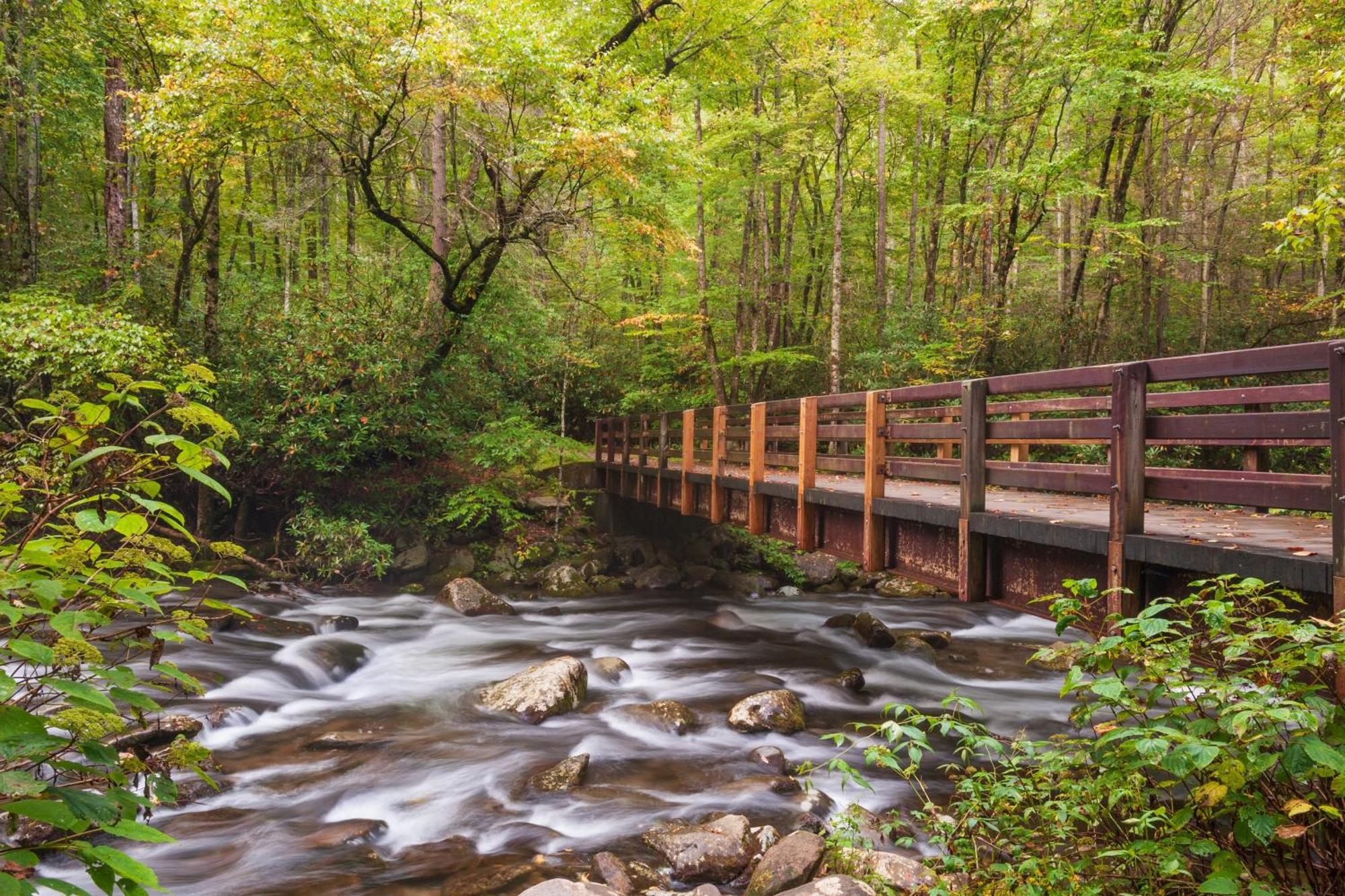 Tranquility Hollow, Indoor Pool, Game Room, 1089 Free Tickets Each Paid Day, Dollywood And More! 세비어빌 외부 사진